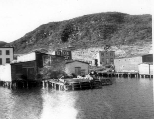 276: Red Island harbour. [courtesy of Betty (Carroll) Spurvey]